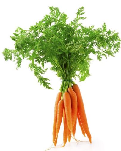 Picture of Carrots 1kg