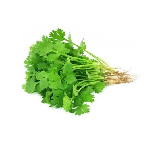 Picture of Coriander