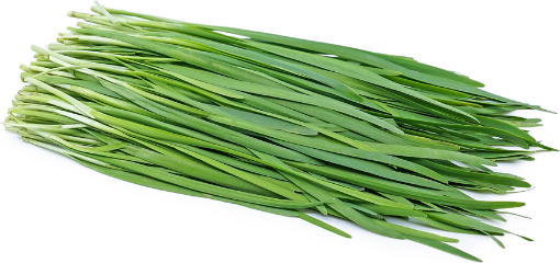 Picture of Garlic Chives