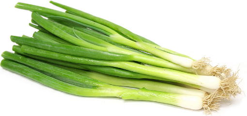 Picture of Green Spring Onion