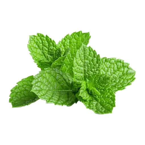 Picture of Mint