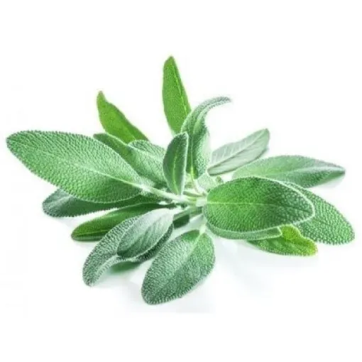 Picture of Sage 30g