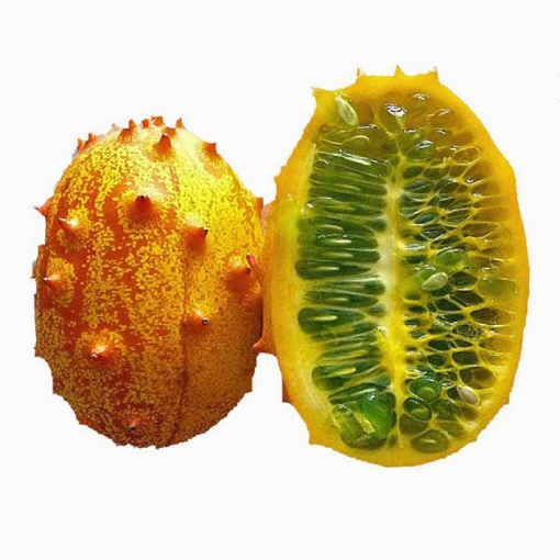 Picture of African Horned Cucumber