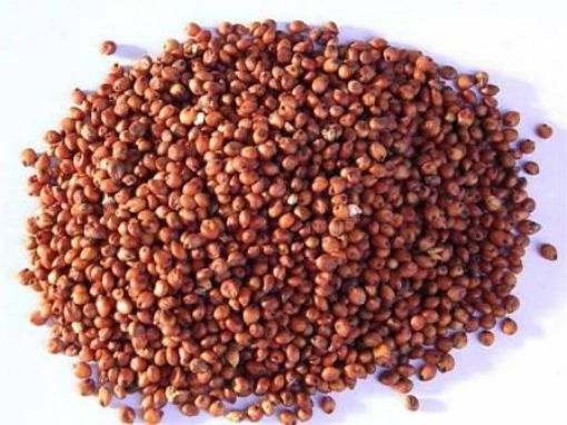 Picture of Red/White Sorghum 1kg