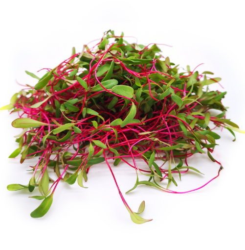Picture of Beetroot 100g