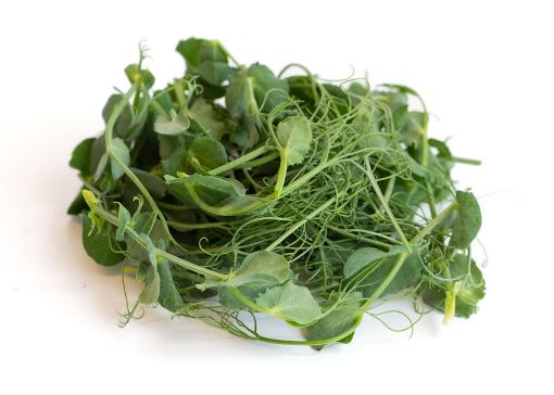 Picture of Pea shoots / Tendrils