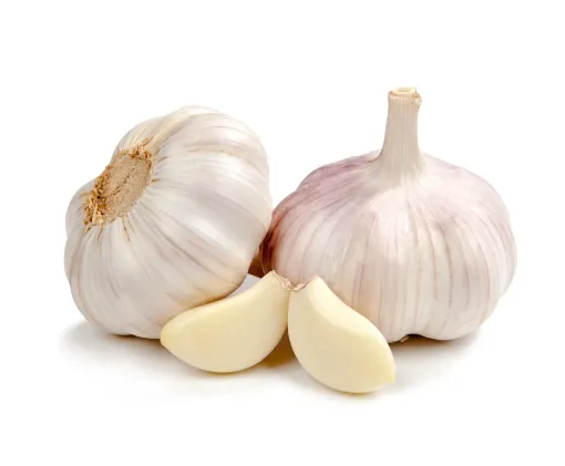 Picture of Garlic